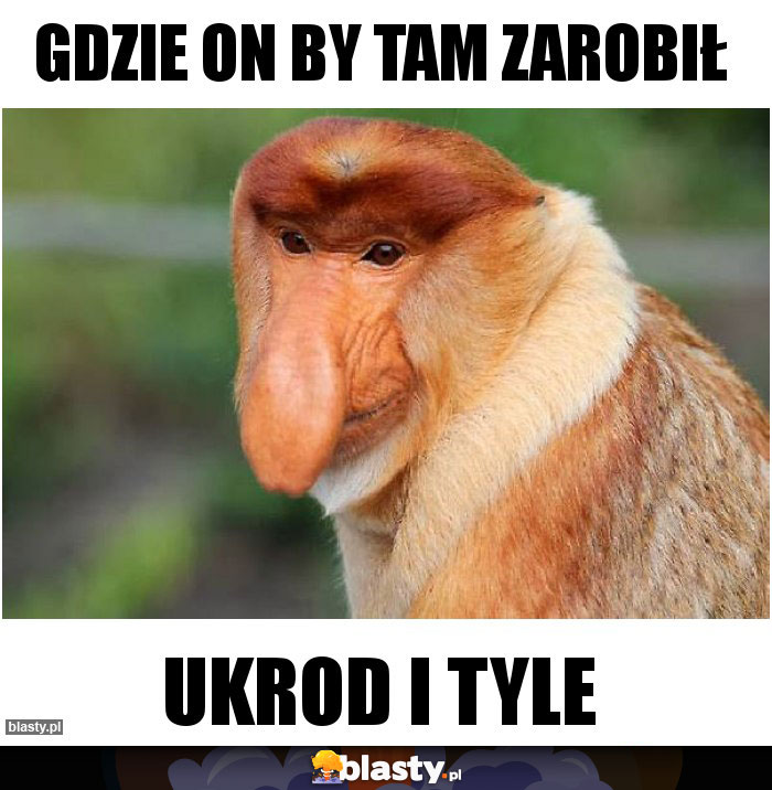 GDZIE ON BY TAM ZAROBIŁ