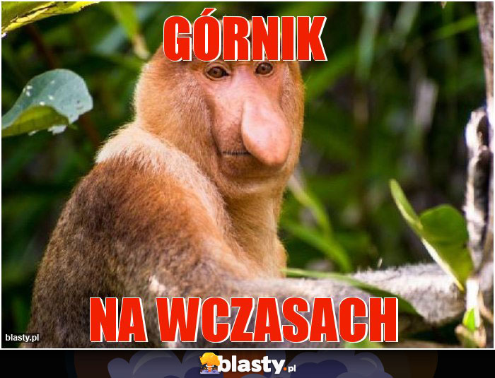 Górnik