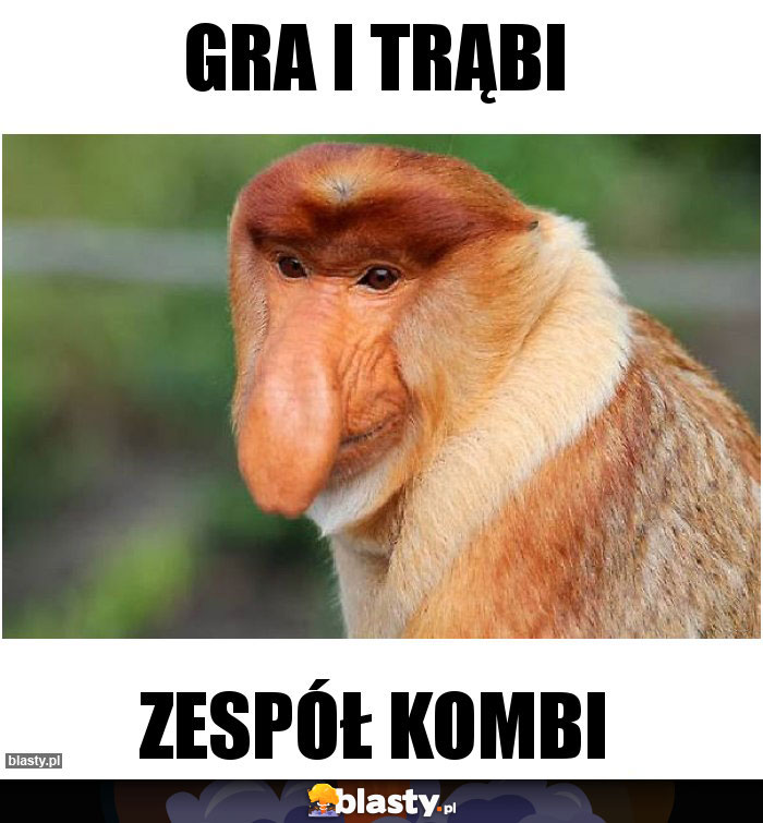 Gra i trąbi