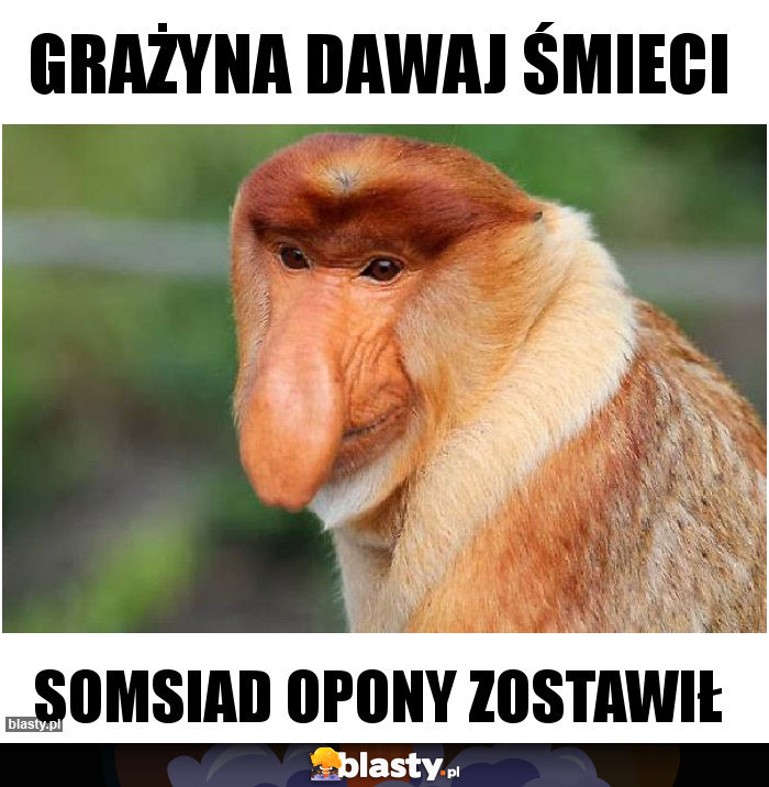 GRAŻYNA DAWAJ ŚMIECI