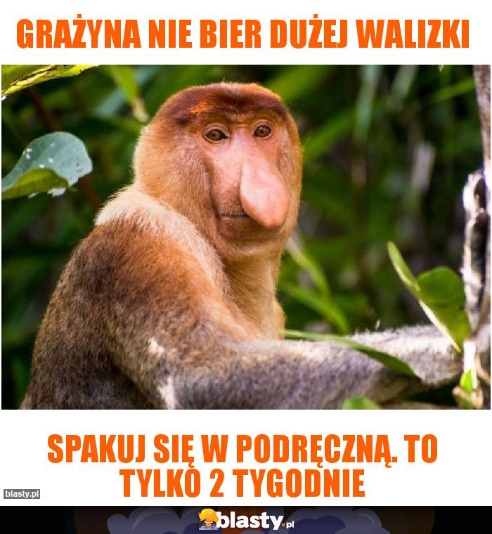 grażyna nie bier dużej walizki