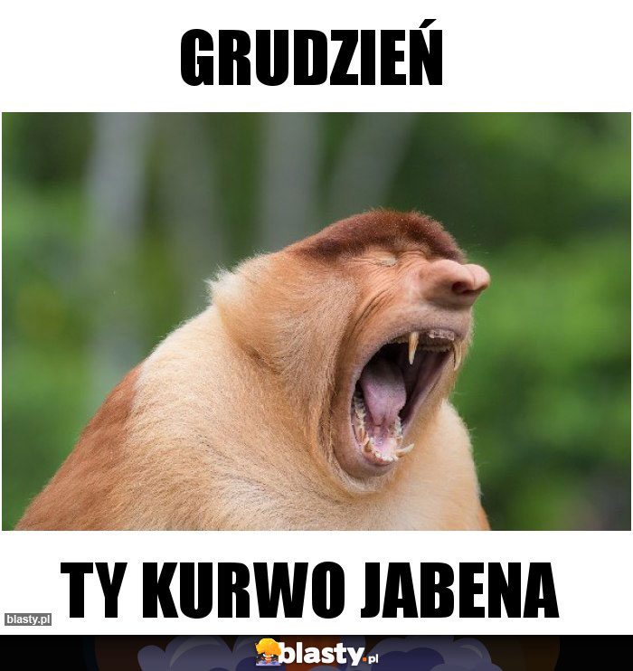 Grudzień