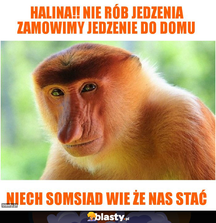 Halina!! nie rób jedzenia zamowimy jedzenie do domu