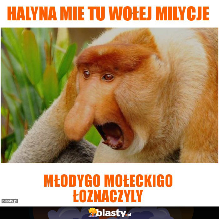 HALYNA MIE TU WOŁEJ MILYCJE