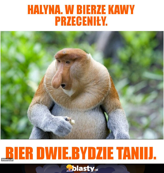 Halyna. W bierze kawy przeceniły.