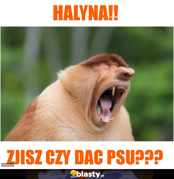 Halyna!!