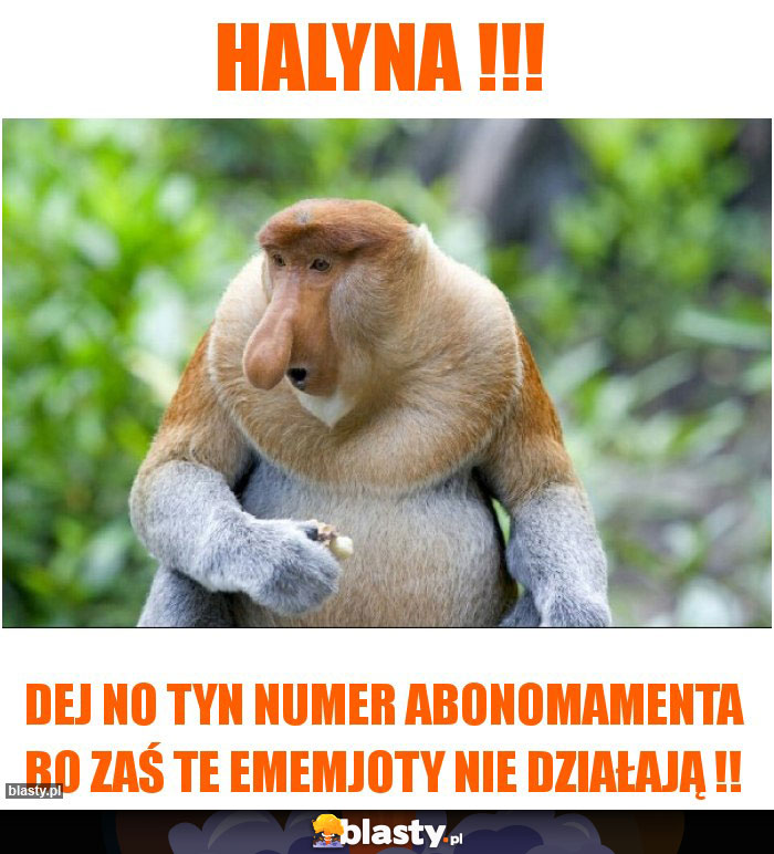 Halyna !!!