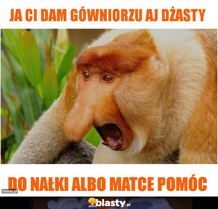 Ja ci dam gówniorzu aj dżasty