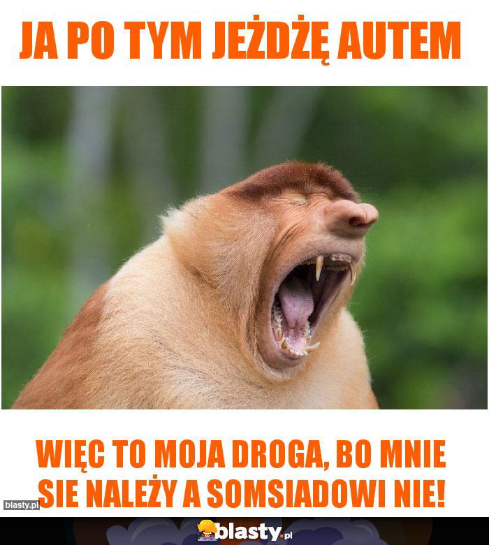 Ja po tym jeżdżę autem