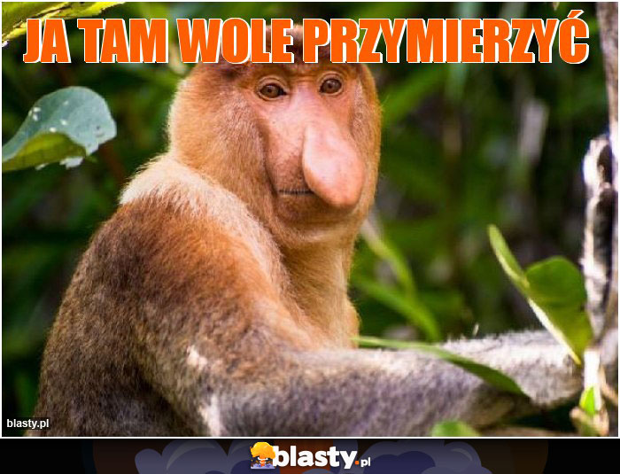 Ja tam wole przymierzyć