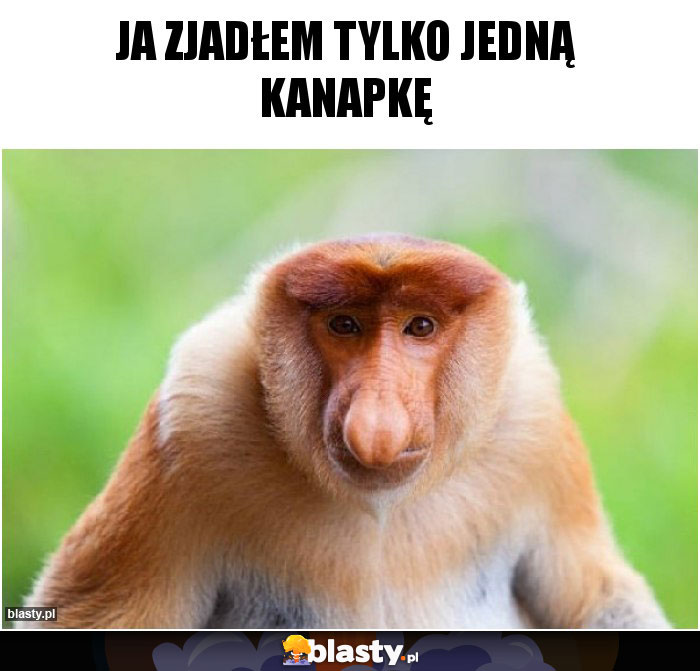 Ja zjadłem tylko jedną kanapkę