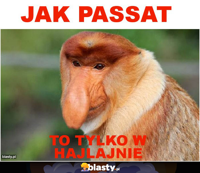 Jak Passat