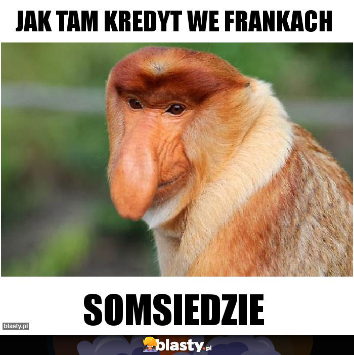 Jak tam kredyt we frankach