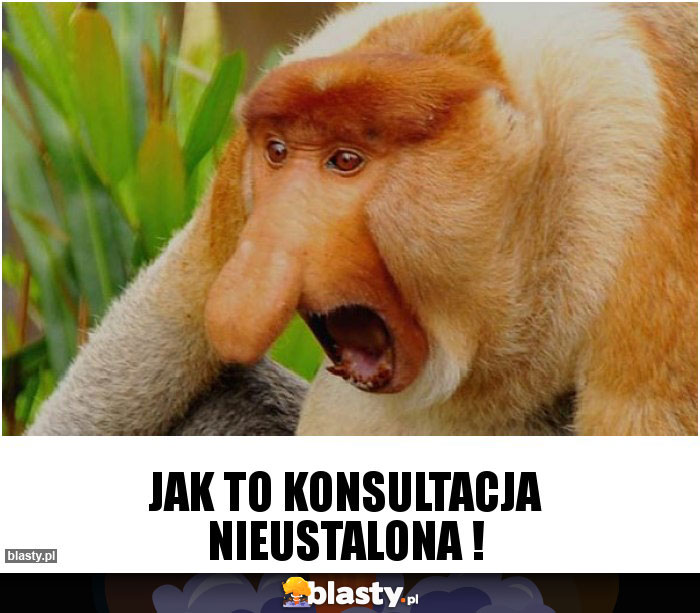 Jak to konsultacja nieustalona !