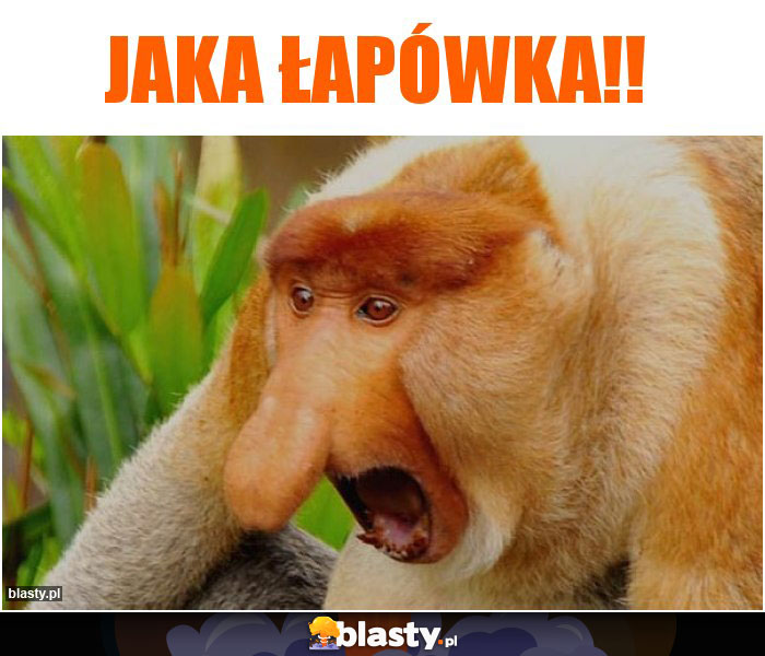 Jaka łapówka!!