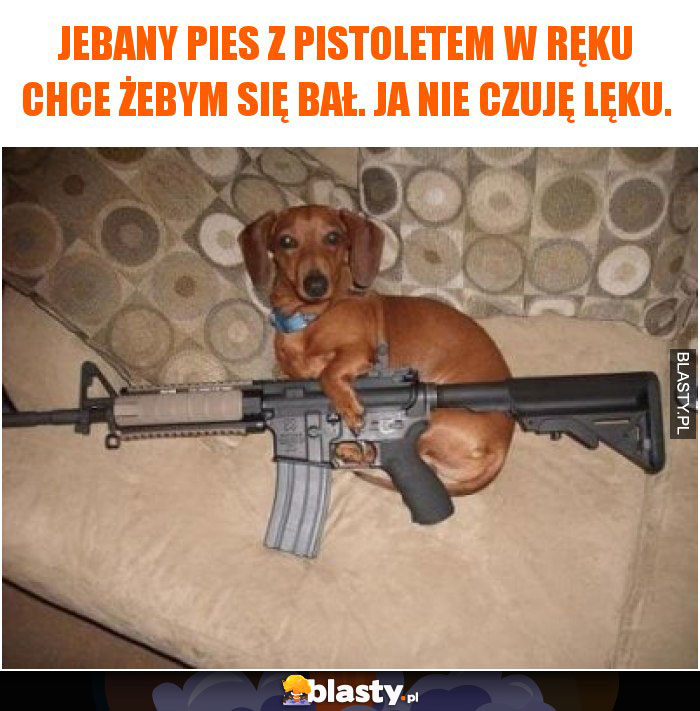 Jebany pies z pistoletem w ręku Chce żebym się bał. Ja nie czuję lęku.