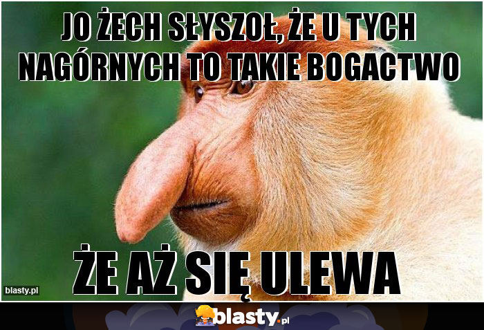 JO Żech słyszoł, że u tych Nagórnych to takie bogactwo