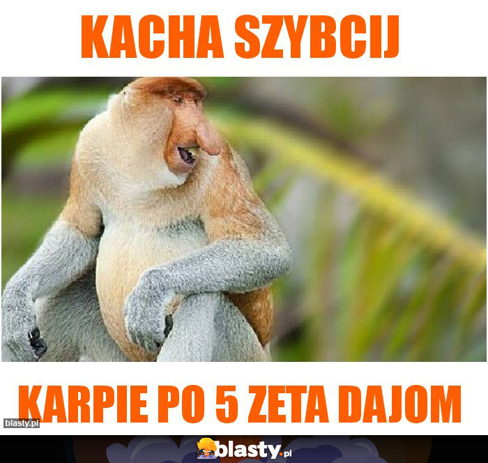 Kacha szybcij