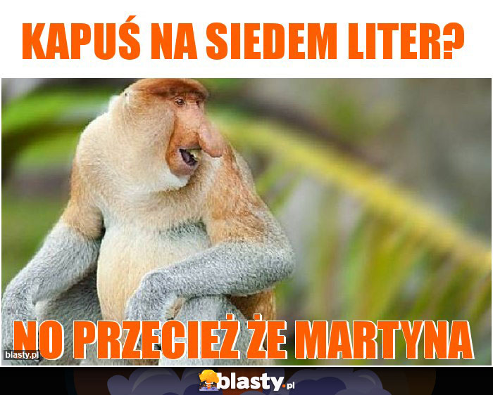 Kapuś na siedem liter?