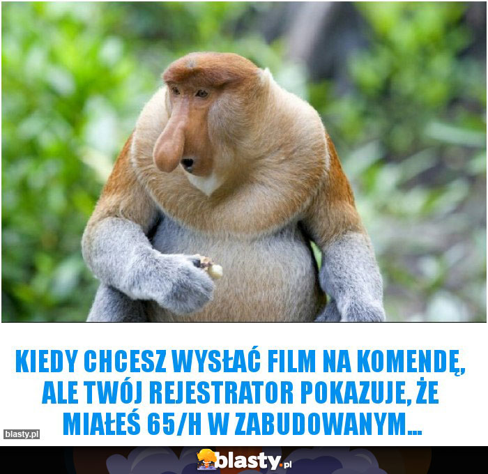 Kiedy chcesz wysłać film na komendę, ale twój rejestrator pokazuje, że miałeś 65/H w zabudowanym... Kiedy chcesz wysłać film na komendę, ale twój rejestrator pokazuje, że miałeś 65/H w zabudowanym...