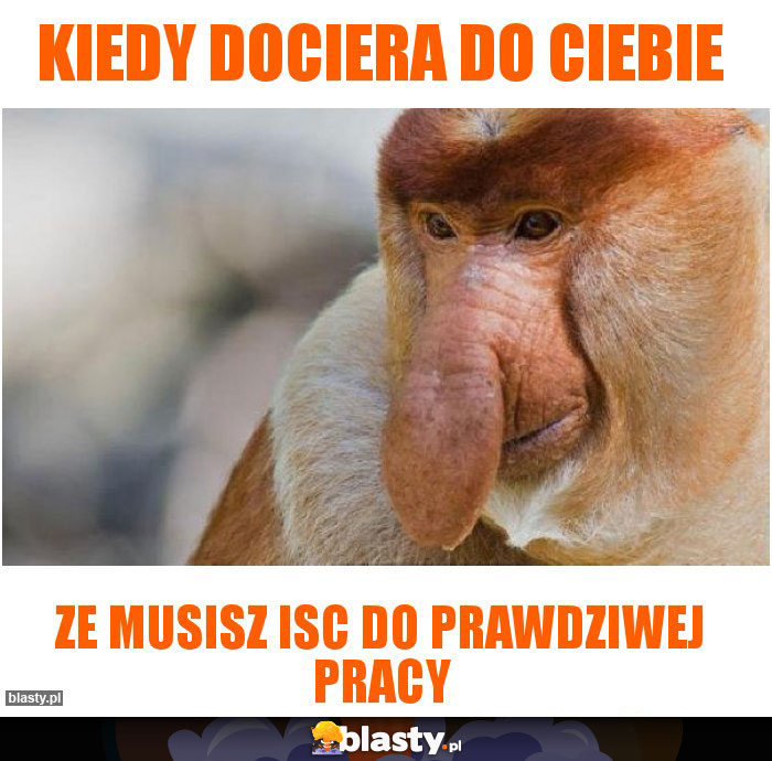 kiedy dociera do ciebie kiedy dociera do ciebie