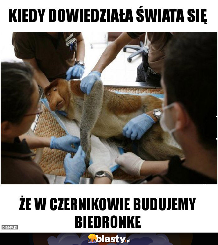 Kiedy dowiedziała świata się Kiedy dowiedziała świata się