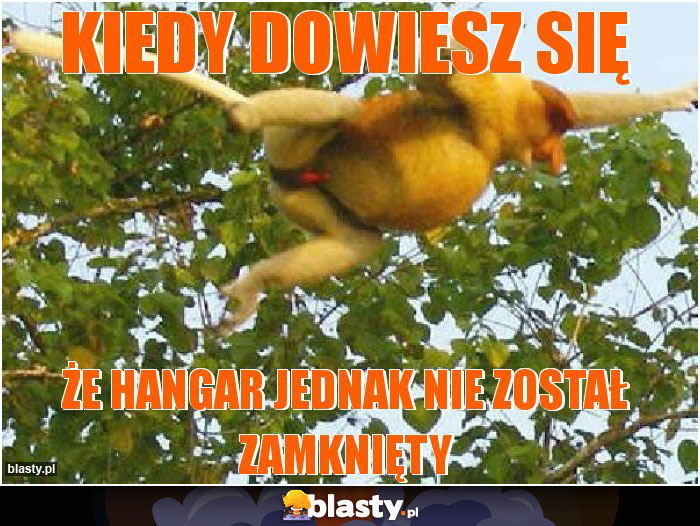 Kiedy dowiesz się