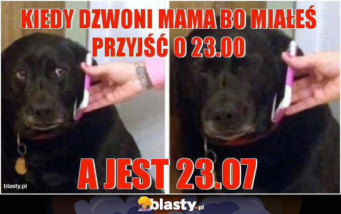 Kiedy dzwoni mama bo miałeś przyjść o 23.00