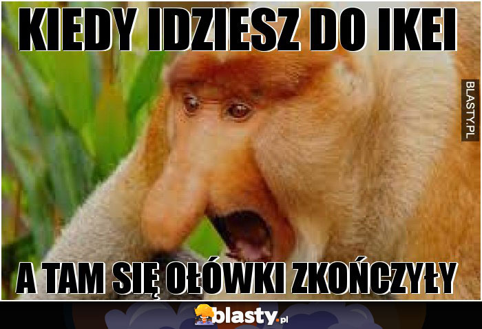 KIEDY IDZIESZ DO IKEI KIEDY IDZIESZ DO IKEI