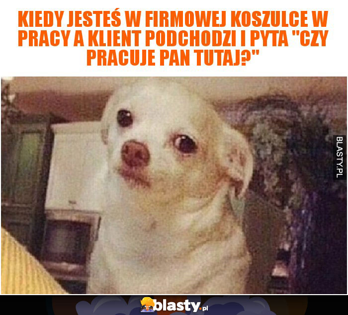 Kiedy jesteś w firmowej koszulce w pracy a klient podchodzi i pyta 