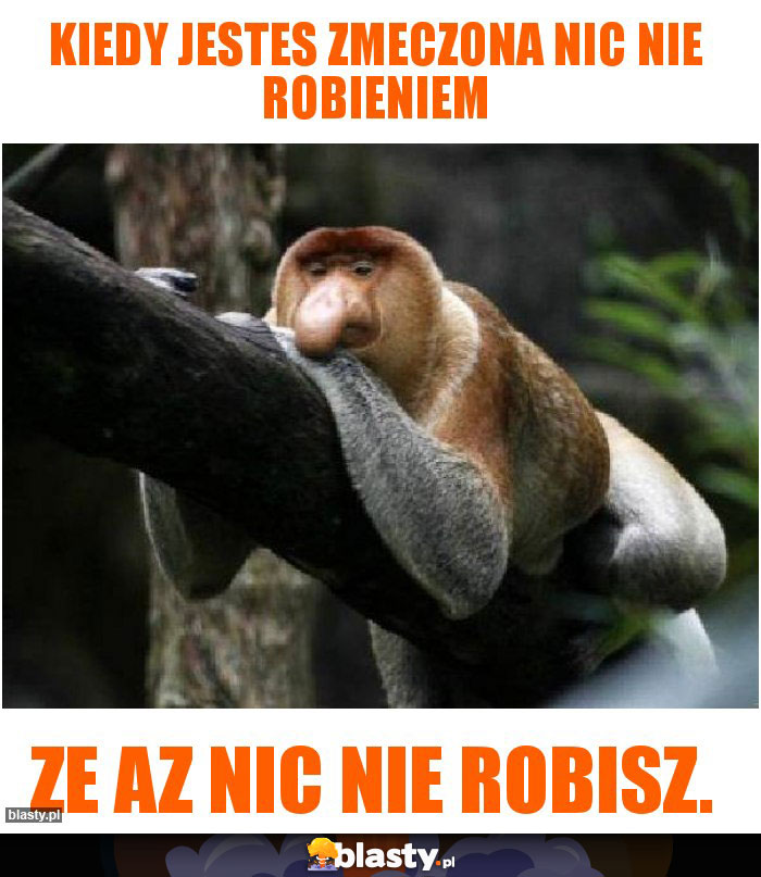 kiedy jestes zmeczona nic nie robieniem kiedy jestes zmeczona nic nie robieniem