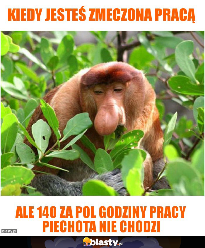 kiedy jesteś zmeczona pracą kiedy jesteś zmeczona pracą