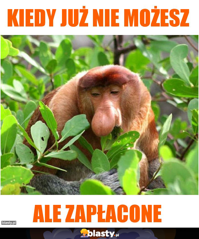 Kiedy już nie możesz