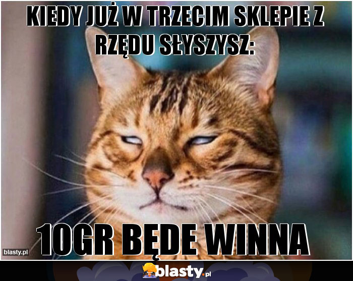 Kiedy już w trzecim sklepie z rzędu słyszysz: