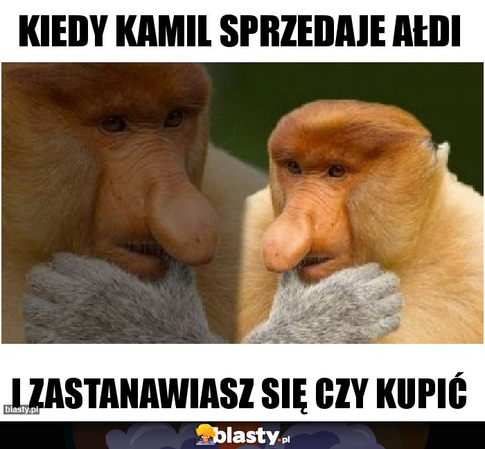Kiedy Kamil sprzedaje ałdi