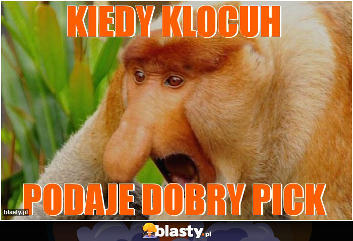 KIEDY KLOCUH