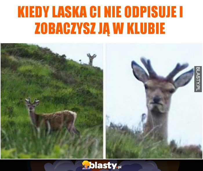 Kiedy laska Ci nie odpisuje i zobaczysz ją w klubie