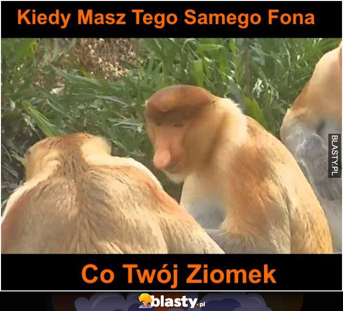 kiedy masz tego samego fona co twój ziomek