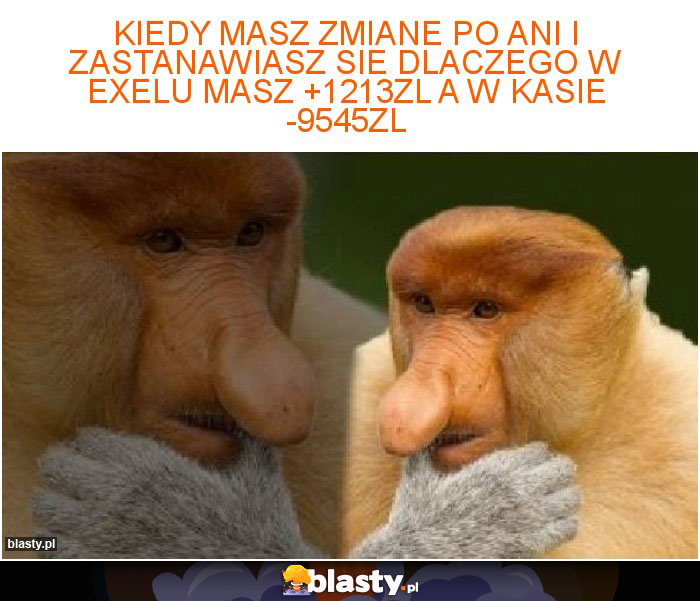 kiedy masz zmiane po ani i zastanawiasz sie dlaczego w exelu masz +1213zl a w kasie -9545zl kiedy masz zmiane po ani i zastanawiasz sie dlaczego w exelu masz +1213zl a w kasie -9545zl