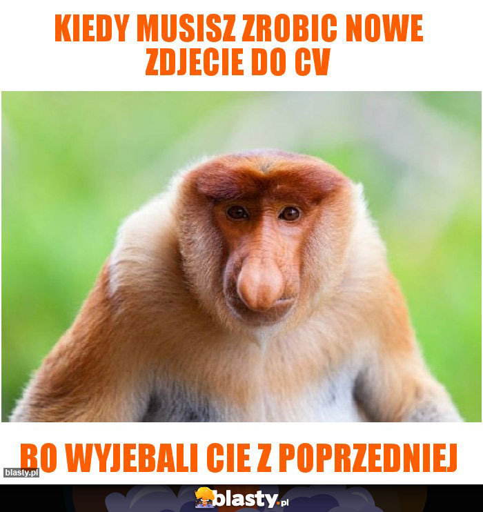 kiedy musisz zrobic nowe zdjecie do CV kiedy musisz zrobic nowe zdjecie do CV