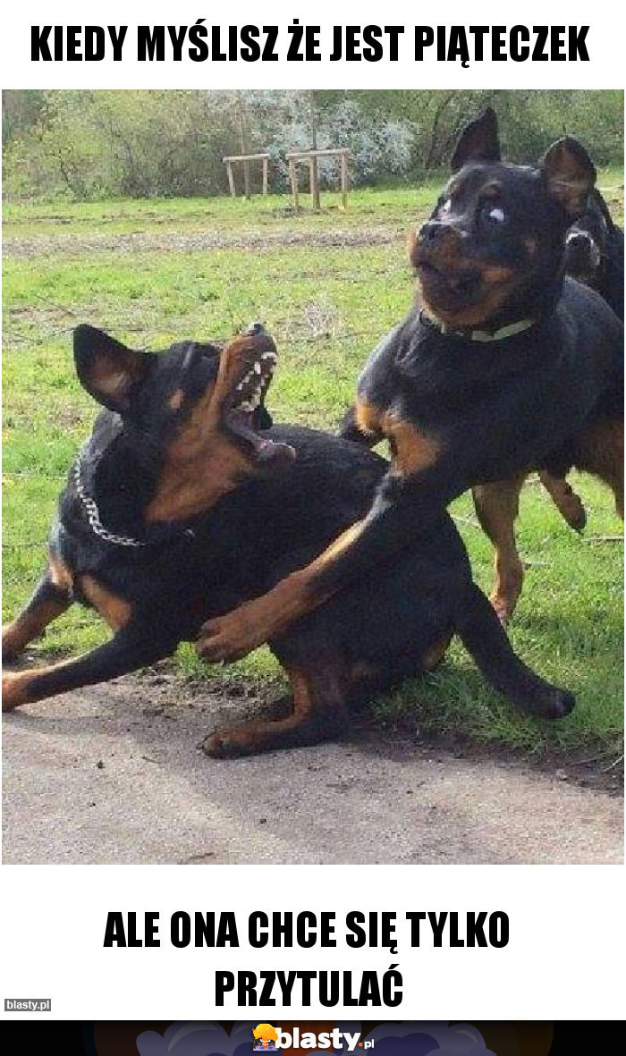 Kiedy myślisz że jest piąteczek