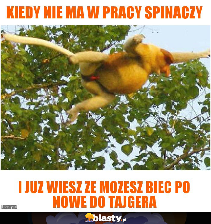 kiedy nie ma w pracy spinaczy kiedy nie ma w pracy spinaczy