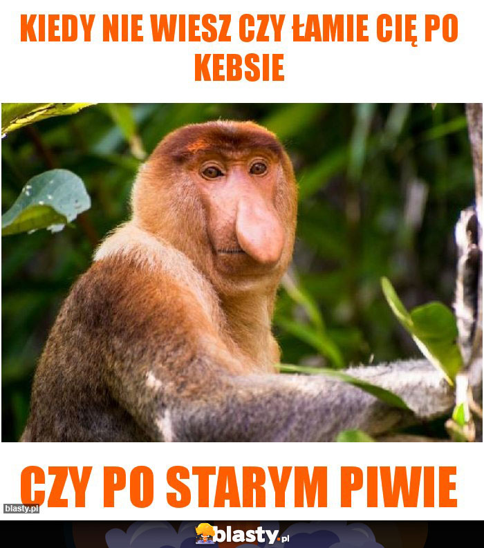 Kiedy nie wiesz czy łamie Cię po kebsie Kiedy nie wiesz czy łamie Cię po kebsie