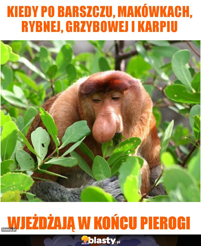 Kiedy po Barszczu, makówkach, Rybnej, grzybowej i karpiu Kiedy po Barszczu, makówkach, Rybnej, grzybowej i karpiu
