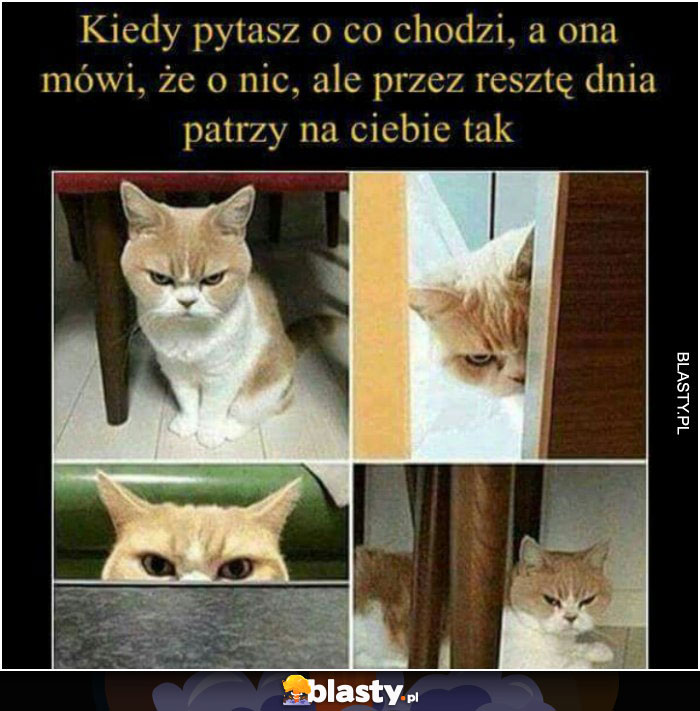 Kiedy pytasz o co chodzi..