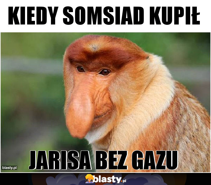 Kiedy somsiad kupił
