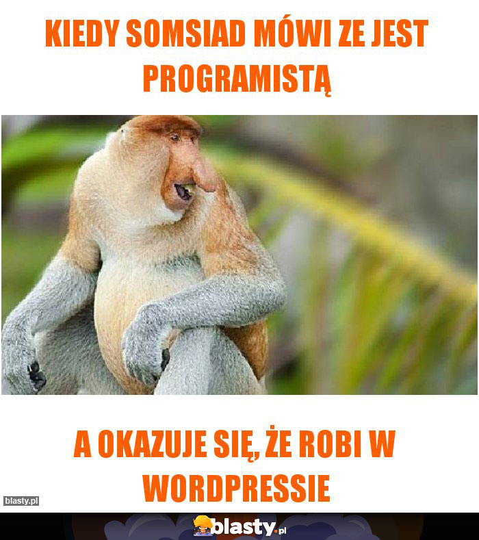 KIEDY SOMSIAD MÓWI ZE JEST PROGRAMISTĄ