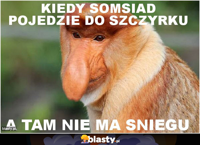 KIEDY SOMSIAD POJEDZIE DO SZCZYRKU