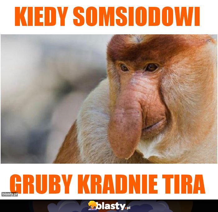 Kiedy somsiodowi
