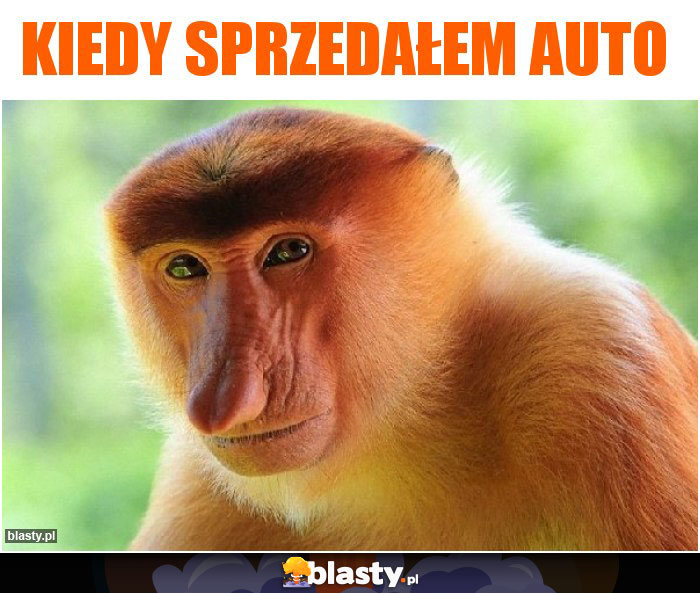 Kiedy sprzedałem auto